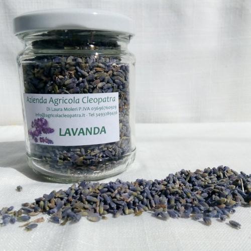 Lavanda seca em um frasco de 20g