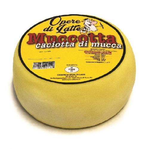 Caciotta Muccotta whole form 600g: Price and Online Sale