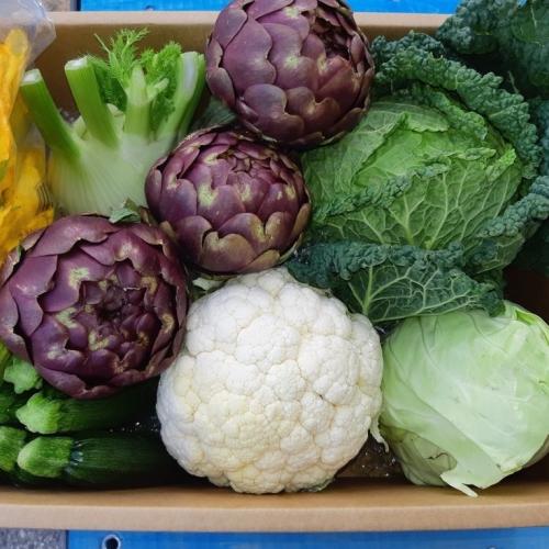 Cesta de 11 kg de vegetais frescos sazonais