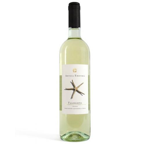 Falanghina IGT Puglia Antica Enotria BIO 2019 750 ml