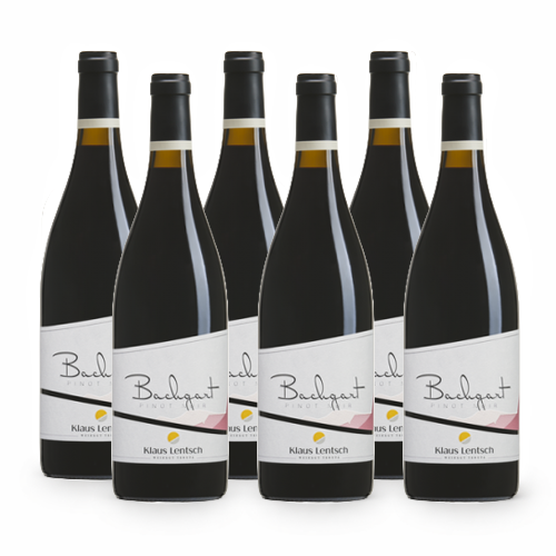 Bachgart Sudtirol Pinot Noir DOC