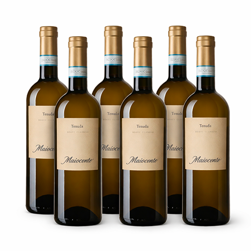 Zelt Soave Classico DOC — Hauptgericht