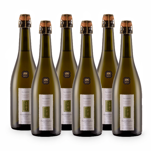 Col Fondo Valdobbiadene Prosecco Superiore Docg Sui lieviti Brut Nature - 6 bottiglie