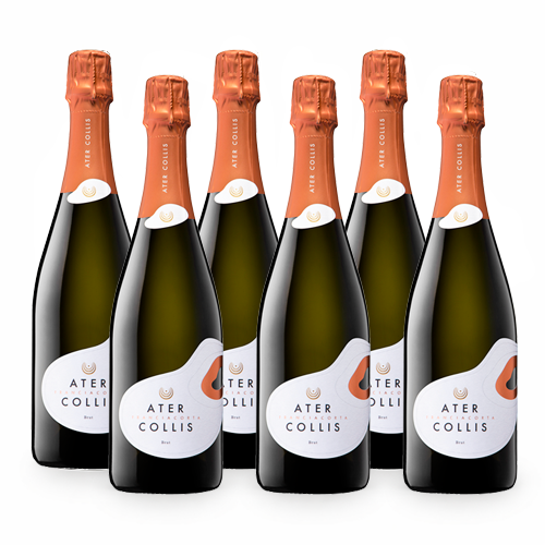Franciacorta Docg Brut - 6 bottiglie - Ater Collis
