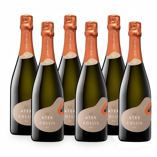 Franciacorta Docg Saten - 6 bottiglie - Ater Collis