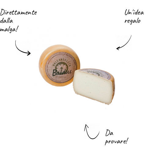 Queso de vaca Baldus entero en forma de 2,5 kg