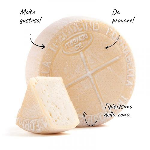 Queijo tremosina 1/4 na forma 370g