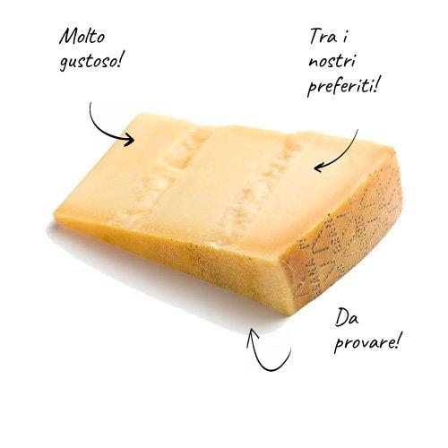 Grana Padano DOP Stagionato oltre 20 mesi 250g
