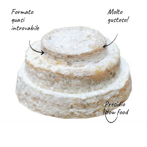 Presidium piemontês de Montebore Slow Food (forma pequena)