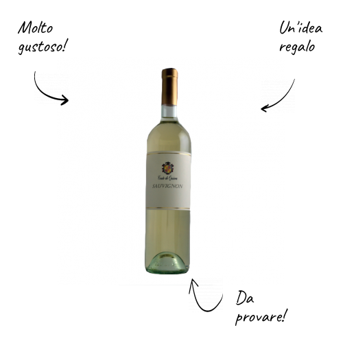 Sauvignon - Conte de Quirra