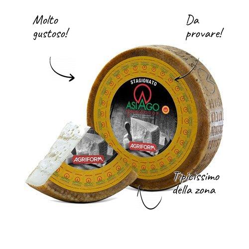 Asiago Dop d'Allevo Mezzano em forma integral 10kg