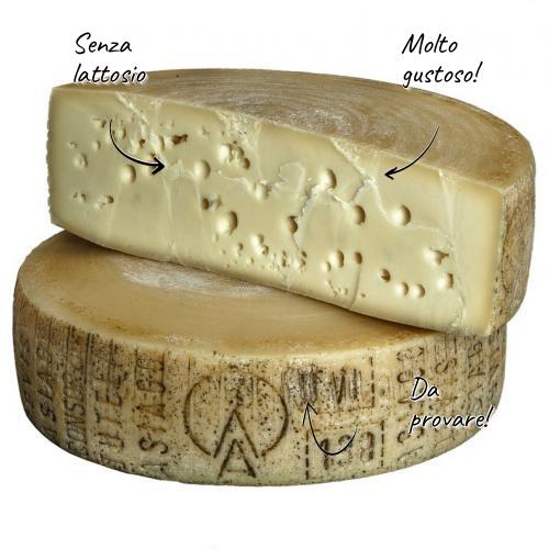 Formulário completo de Asiago Dop d'Allevo de 12 meses