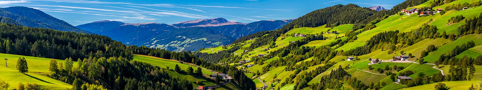 I Prodotti Tipici della Regione Trentino Alto Adige