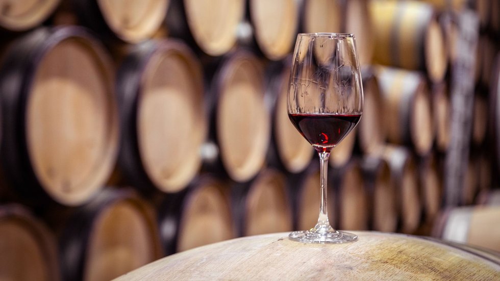 What grape variety was cultivated in the “Leonardo da Vinci vineyard in Milan?” The Milano Wine Affair quiz