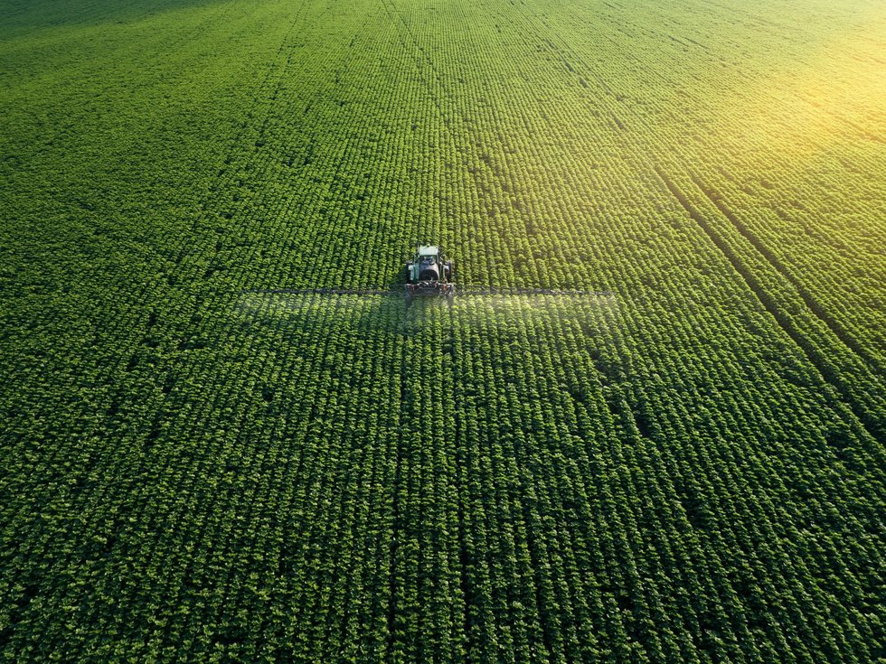 Raios UV-C na agricultura: eles nos permitirão eliminar os pesticidas?