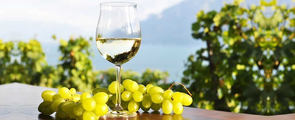 Aromatici e freschi, i vini dell’Alto Adige