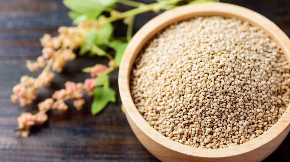 La Quinoa: un piccolo seme dal grande potere