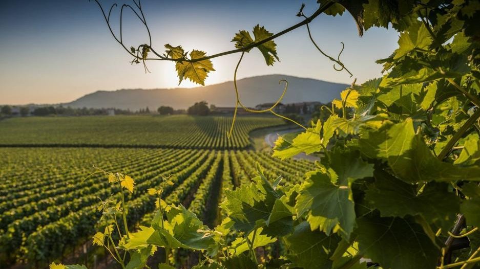 Luoghi incantati: la Valpolicella