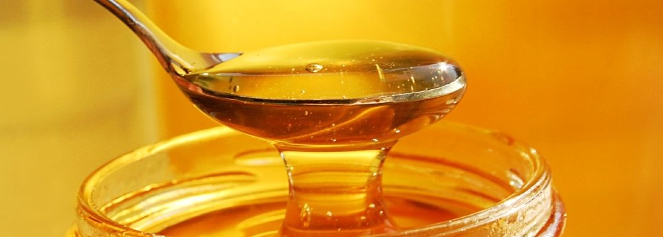 Soft sensations: Dandelion honey