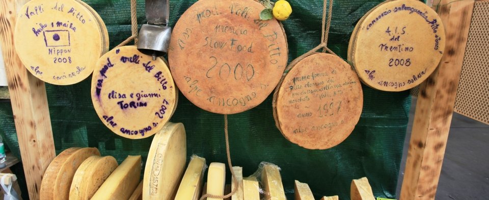 Bitto DOP, lo storico formaggio d'alpeggio principe della Valtellina