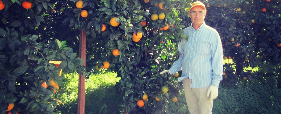 Vito Perricone e Carmela Cascio: la Sicilia passa dalle loro arance