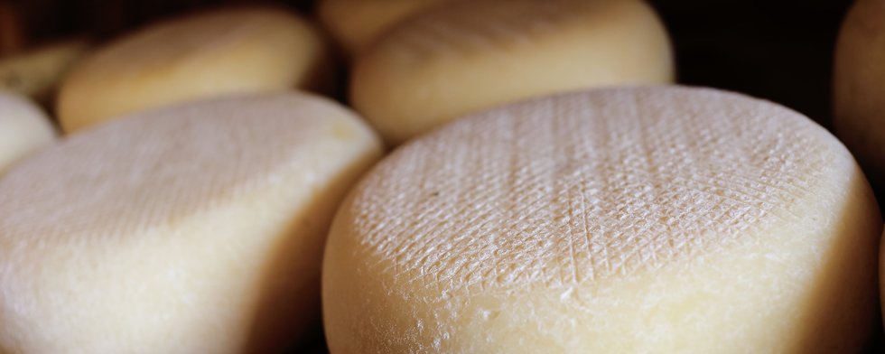 Pecorino romano: il formaggio DOP con oltre 2000 anni di storia