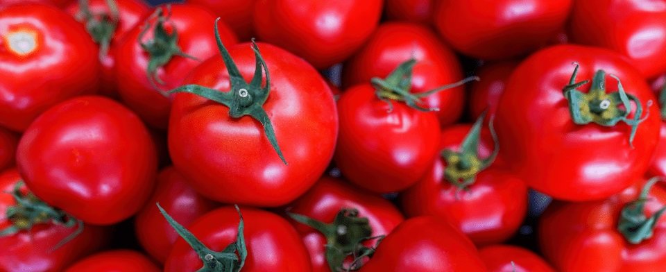 Tenuta Scorciabove: il pomodoro semplice, genuino, buono e biologico