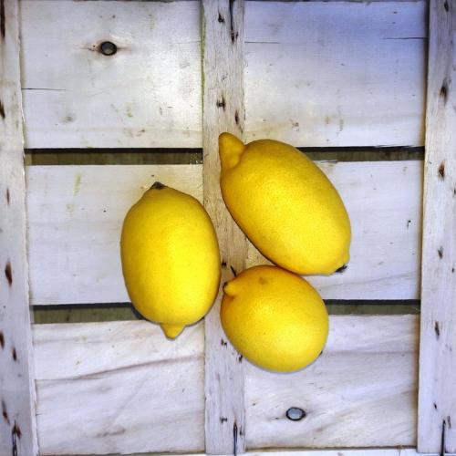 Limoni di Sicilia 5 kg: prezzo e vendita online
