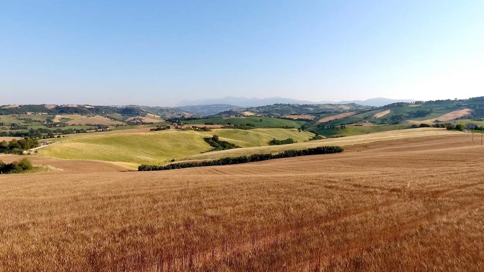 Mancini Pastificio Agricolo: scopri i prodotti