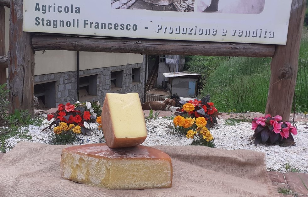 Azienda Agricola Stagnoli Francesco<br>alle Produkte: scopri i prodotti