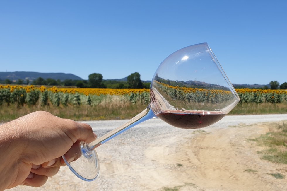 Cantina Luteraia: vini sensoriali: scopri i prodotti