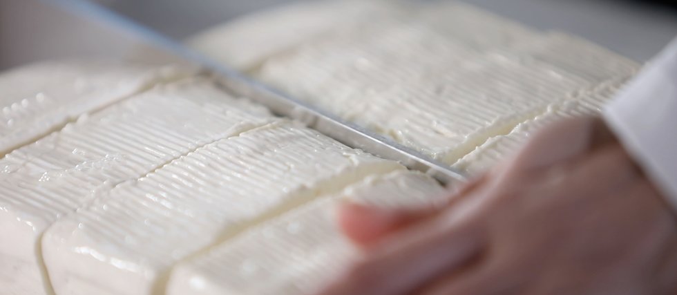 Chiodo Formaggi: scopri i prodotti