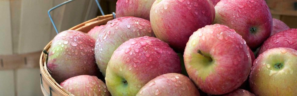 Terre di Gemma: scopri i prodotti