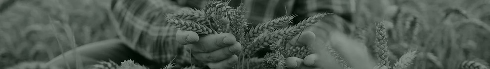 Vero Riso: scopri i prodotti