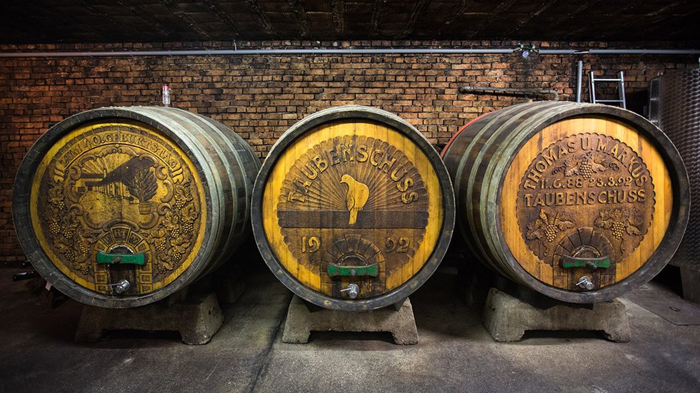 Weingut Taubenschuss: scopri i prodotti