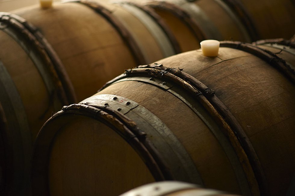 Champagne Bauget Jouette: scopri i prodotti