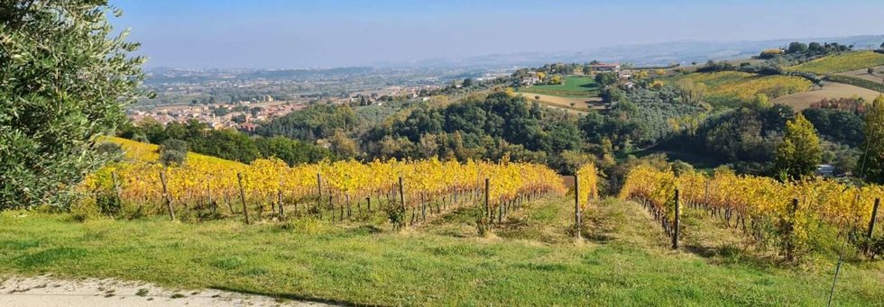 Azienda Agricola Poggio Montali: scopri i prodotti