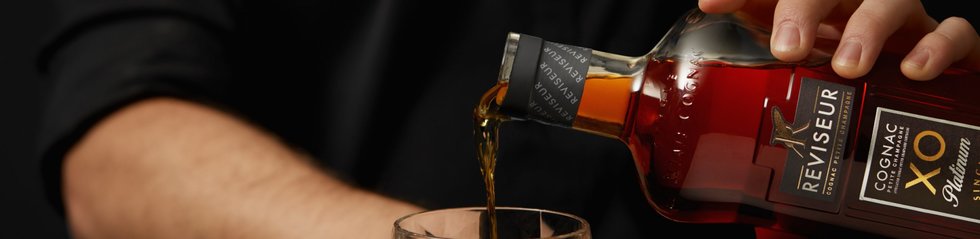 Reviseur: scopri i prodotti