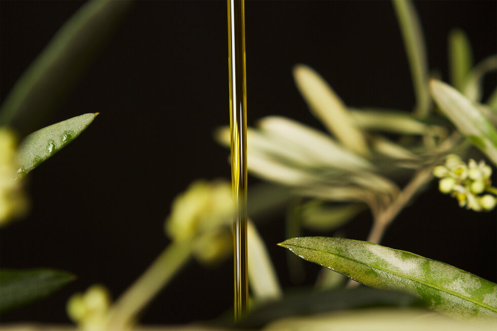 Tenuta Scollo: scopri i prodotti