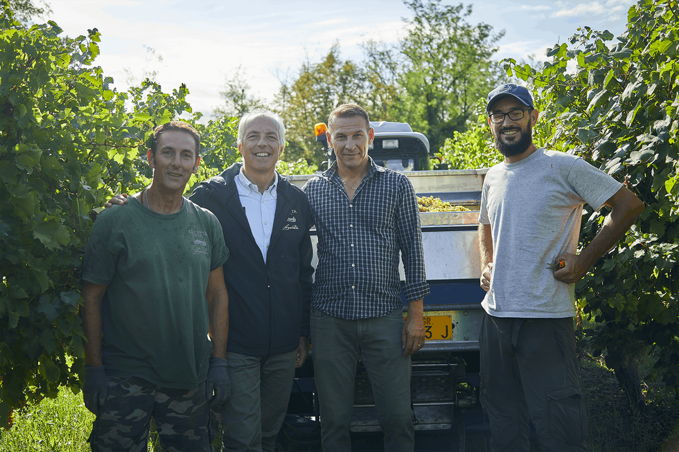 Colutta Società agricola: scopri i prodotti