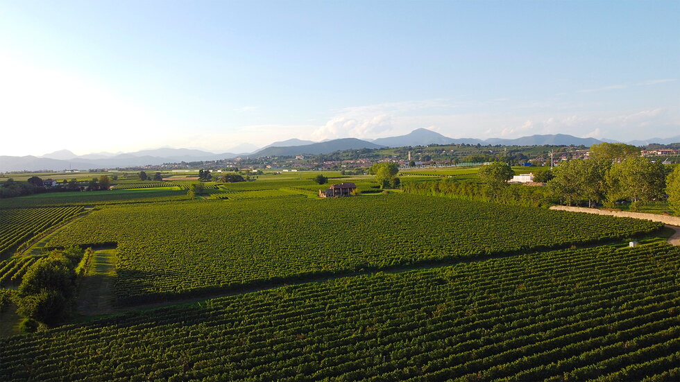 Lancini Franciacorta: scopri i prodotti
