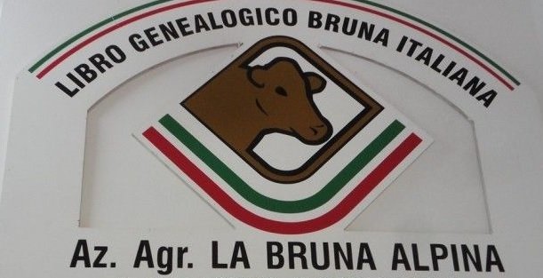 Caseificio La Bruna Alpina: scopri i prodotti